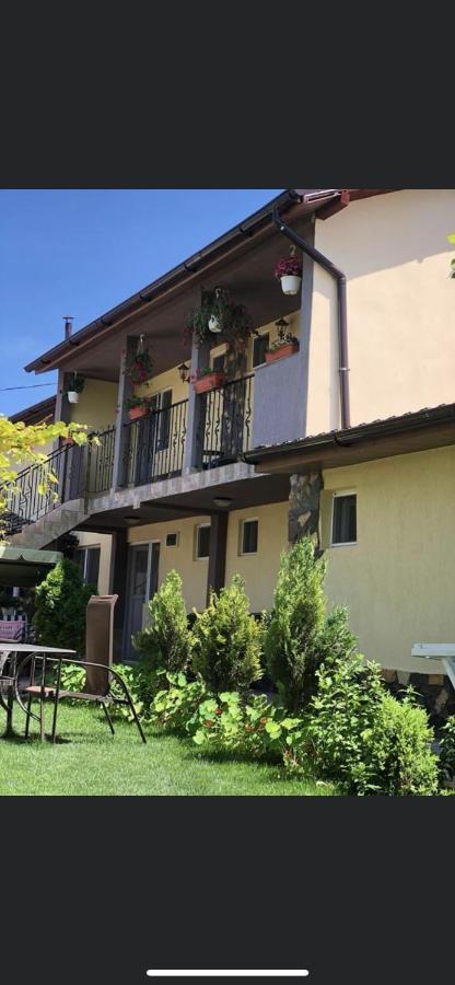 Vila Vlad 2 Mai Exterior foto